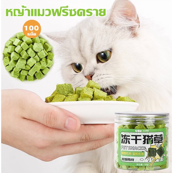 หญ้าแมวฟรีซดราย 50g หญ้าแมวอบแห้ง ต้นอ่อนข้าวสาลี สามารถช่วยกําจัดขนได้ ขนมสัตว์เลี้ยง