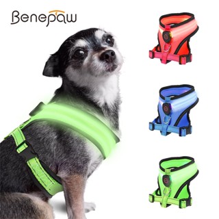 Benepaw เสื้อกั๊กสัตว์เลี้ยง แบบตาข่ายสะท้อนแสง มีไฟ LED ชาร์จ USB ปรับได้ สําหรับสุนัขขนาดเล็ก กลาง