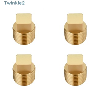 Twinkle ปลั๊กเชื่อมต่อท่อทองแดง NPT ตัวผู้ 1/2 นิ้ว 4 ชิ้น