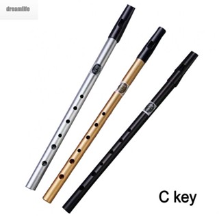 【DREAMLIFE】Fine Quality Irish Whistle Flute in C/D Key Enjoy Celtic Music like Never Before