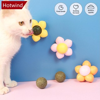 Hotwind ของเล่นลูกบอลทําความสะอาดฟัน สําหรับสัตว์เลี้ยง แมว E8Z2