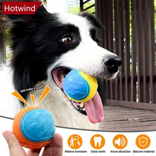 Hotwind ของเล่นลูกบอลเคี้ยว TPR แบบโต้ตอบ กันกัด สําหรับฝึกสัตว์เลี้ยง สุนัข N1W3