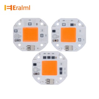 Eralml ชิปไฟ LED COB พลังงานสูง 220V 110V 50W 70w 100W สําหรับไฟฟลัดไลท์ กลางแจ้ง DIY