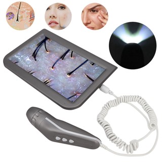 DAZA 10.1 นิ้วประเภทการชาร์จ Scalp Hair Folicle Skin Detector เครื่องวิเคราะห์ 100-240V