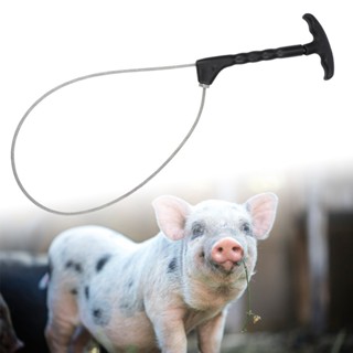 Family Shorage กับดักสแตนเลสหมู Squeezer Holder Catcher Pig ปศุสัตว์ Snare Farming Equipment ทนทาน