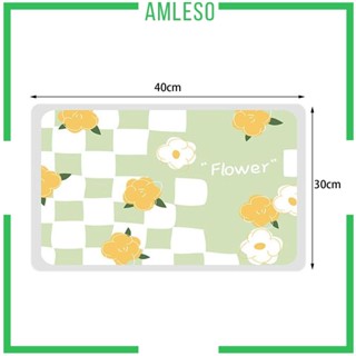 [Amleso] แผ่นรองจาน กันลื่น ทนทาน อเนกประสงค์ สําหรับห้องครัว