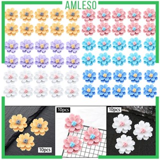 [Amleso] กระดุมเรซิ่น ด้านหลังแบน สําหรับตกแต่งเคสโทรศัพท์ DIY 10 ชิ้น