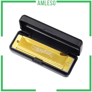 [Amleso] เครื่องดนตรีฮาร์โมนิก้า ของเล่นเสริมการเรียนรู้เด็ก