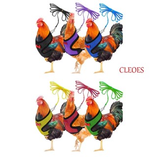 Cleoes ปลอกคอแฟชั่น ระบายอากาศ ปรับได้ สําหรับสัตว์เลี้ยง ไก่