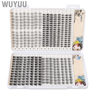 Wuyuu Eyelash Clusters Mixed Tray  Individual Lash Extensions Different Length Lightweight 400 Cluster for Cosplay