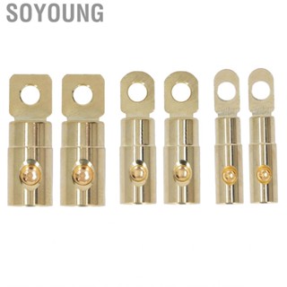 Soyoung Screw Ring Terminal  Welding Free Brass  Lugs Tight Wire Fit 2PCS Gold Plated High Toughness for Audio Modification