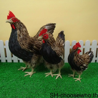 【Choo】โมเดลรูปปั้นไก่เสมือนจริง ขนาด 1 2 3 5 สําหรับตกแต่งบ้าน