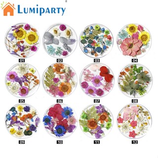 Lumiparty ดอกไม้แห้ง สวยงาม สําหรับตกแต่งเล็บ