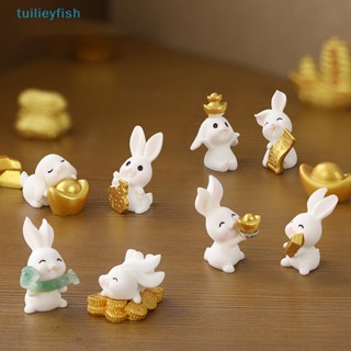 Tuilieyfish ตุ๊กตากระต่ายเรซิ่น รูปการ์ตูนน่ารัก สําหรับตกแต่งสวน 1 ชิ้น