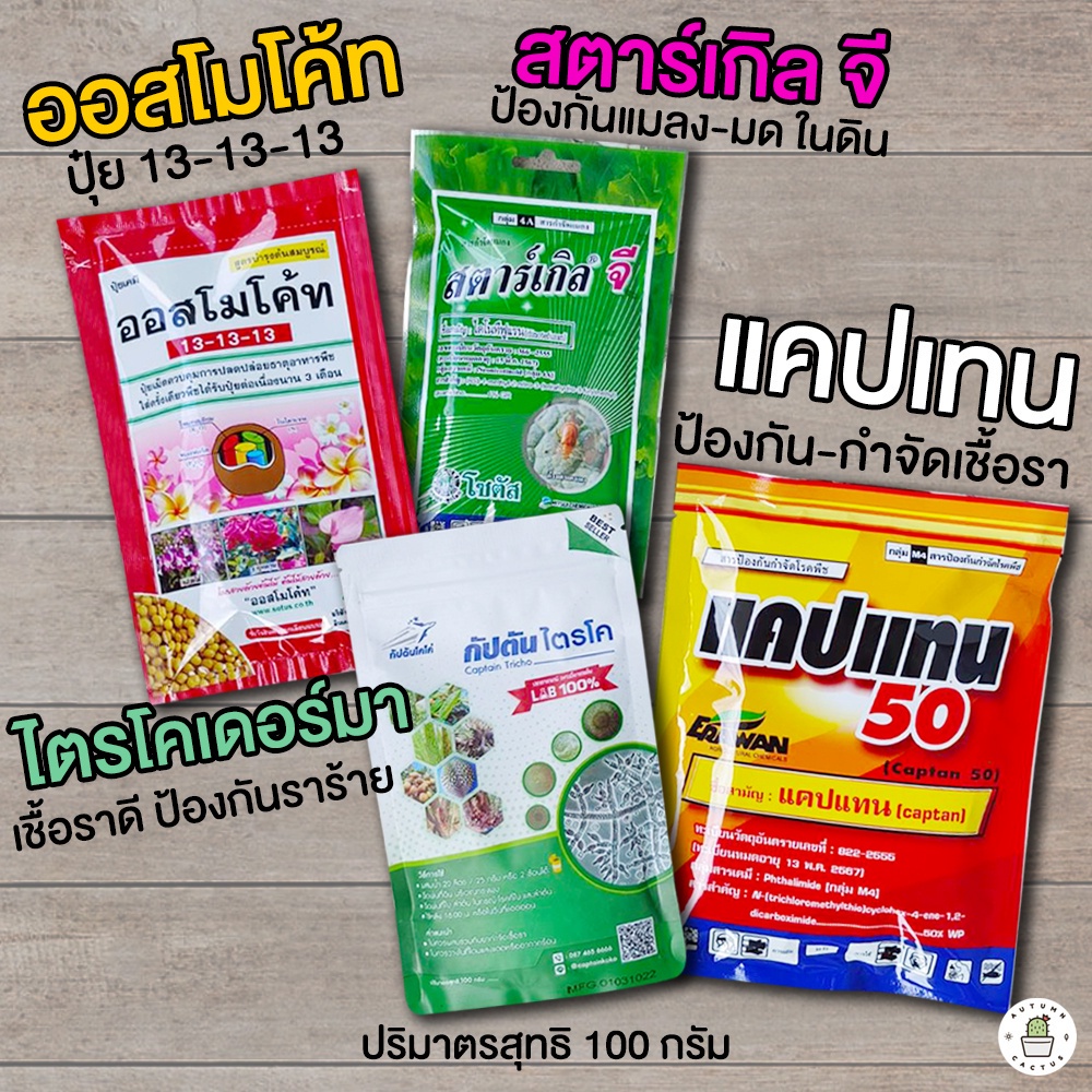 ซื้อ 🌺 ปุ๋ยออสโมโค้ท-🐜สตาร์เกิลจี-🌿ไตรโคเดอร์มา-ไตรโคเดอม่า🦠แคปเทน (ปริมาตรสุทธิ 100กรัม)