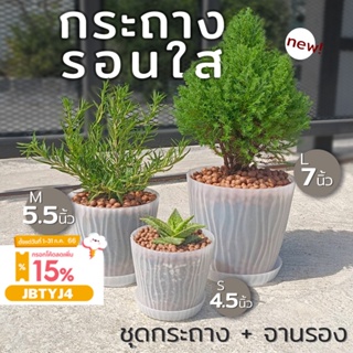 กระถางรอนใส ขุ่น ชุดกระถาง พร้อมถาดรอง เกรดพรีเมี่ยม หนา ดีไซส์สวย 4.5 - 7 นิ้ว