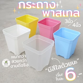 ✨✨กระถางพาสเทล กระถางต้นไม้ กระถางแคคตัส ทรงสี่เหลี่ยม สีขาว ใส ฟ้า ชมพู เหลือง 3นิ้ว 4นิ้ว ✨✨