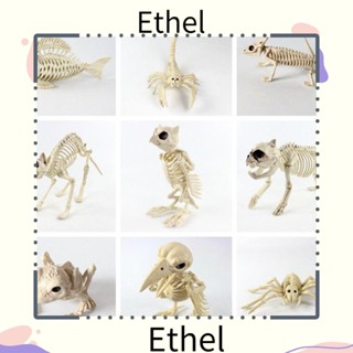 Ethel1 โครงกระดูกปลอม พลาสติก ขยับได้ สําหรับปาร์ตี้ฮาโลวีน