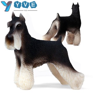 Yve Schnauzer โมเดลลูกสุนัข วิทยาศาสตร์ และสวน เหมือนจริง ของเล่นเสริมการเรียนรู้เด็ก