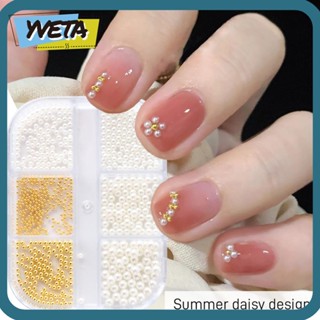 Yveta ลูกปัด พลอยเทียม สีทอง 6 ช่อง/กล่อง สําหรับตกแต่งเล็บ