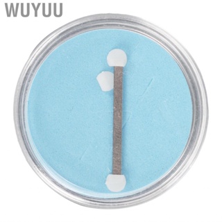 Wuyuu Ingrown Toenail Corrector Strips Flexible Adjustable  Kit Free Cutting Stainless Steel for Paronychia