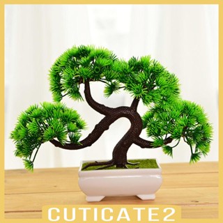 [Cuticate2] ต้นบอนไซประดิษฐ์ สําหรับตกแต่งบ้าน ออฟฟิศ โต๊ะ