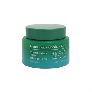 TONYMOLY Houttuynia Cordata Cica COOLING WATERY CREAM 100ml