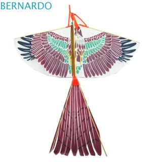 Bernardo ของเล่นโมเดลเครื่องบิน รูปนก สําหรับเด็ก DIY