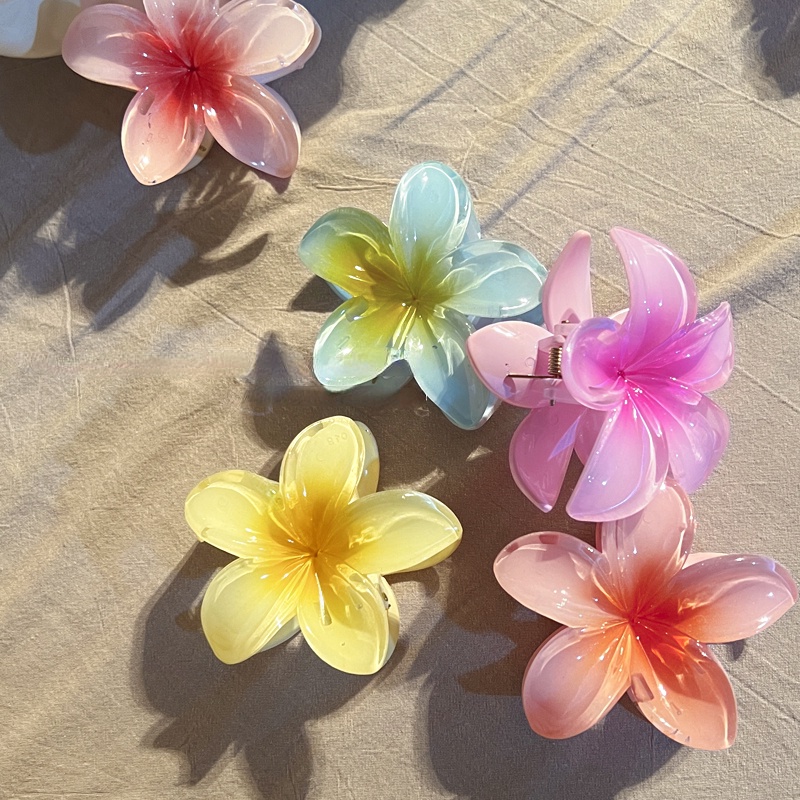 กิ๊บติดผม ลายดอกไม้ เหมาะกับเดินชายหาด อุปกรณ์เสริม สําหรับวันหยุด ราคา ถูกที่สุด ดีลบีเคเค แกลเลอรีภาพที่ 4