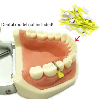 HaoJue 40 ชิ้น ทันตกรรม ฟัน Interproximal พลาสติกเวดจ์อุปกรณ์ทันตกรรม