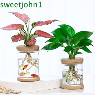 Sweetjohn เรซิ่นใส ทรงกลม สําหรับตกแต่งบ้าน สวน 1 ชิ้น