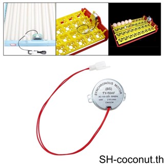 【Coco】มอเตอร์เครื่องฟักไข่อัตโนมัติ 2.5rpm