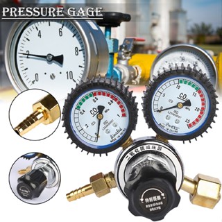 CO2 Regulator Gauge Beer Dioxide Carbon Bar Soda Draft Brew Gas 0-25MPa G5/8AU