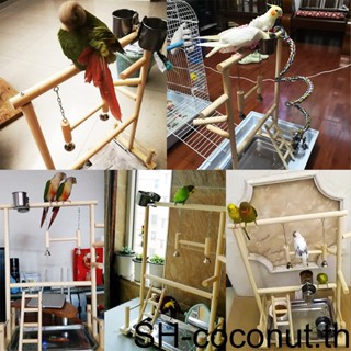 【Coco】ขาตั้งไม้ สําหรับนกแก้ว บรรเทาความเครียด