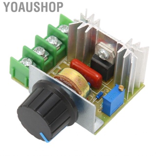 Yoaushop Voltage Regulator Module  Easy Installation Wide Application Adjustable AC220V Input Volt Control Board 2000W for DIY