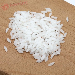 Harriett โมเดลธัญพืชปลอม แฮนด์เมด สีขาว DIY สําหรับตกแต่งบ้าน