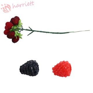 Harriett ผลไม้ปลอม น้ําหนักเบา เหมือนจริง หรูหรา สีสดใส DIY สําหรับตกแต่งบ้าน