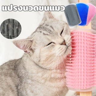 🐈พร้อมส่ง🐈แปรงนวดขนแมว แบบติดผนัง ให้แมวเข้าไปถู สำหรับแมวทุกวัย แถมฟรี!