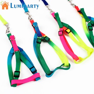 Lumiparty สายจูงสัตว์เลี้ยง สุนัข แมว ขนาดเล็ก กว้าง 1.0 ซม. ปรับได้ พร้อมสายโซ่ หลากสี