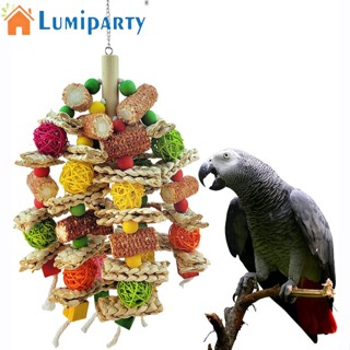 Lumiparty ของเล่นลูกบอลหวาย ขนาดใหญ่ สําหรับนกแก้ว