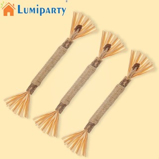 Lumiparty ของเล่นฟันกราม หลายเหลี่ยม บรรเทาความเครียด สําหรับสัตว์เลี้ยง แมว