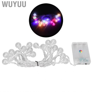 Wuyuu String Lights 20 Light Chips 360° Lightening Ultra Long Colorful DSO