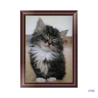 DIY 5D Cute for Cat Diamond Embroidery for Rhinestone Painting for Cross Stitch