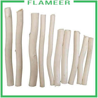 [Flameer] กิ่งไม้ธรรมชาติ DIY สําหรับตกแต่งต้นไม้ 20 ชิ้น
