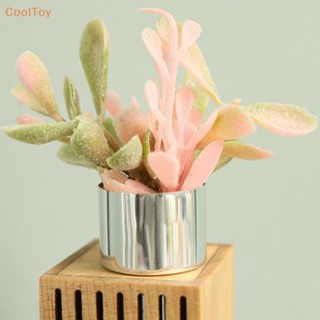 Cooltoy กระถางต้นไม้จิ๋ว 1/6 1/8 สําหรับตกแต่งบ้านตุ๊กตา 1 ชิ้น