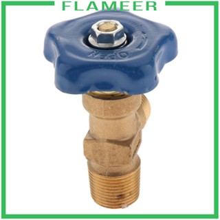 [Flameer] Wp-15 กระบอกอาร์กอนทองแดง 20MPa ควบคุมขวดแก๊ส ไม่รั่วซึม