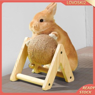 [Lovoski2] ของเล่นลูกบอลกระต่าย พร้อมลูกบอล สําหรับขูด