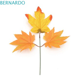 Bernardo กิ่งไม้ประดิษฐ์ สร้างสรรค์ เครื่องประดับ สําหรับตกแต่ง DIY