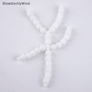 Blowgentlywind อะไหล่ซ็อกเก็ตตุ๊กตาโครงกระดูก ยืดหยุ่น ขนาด 20 15 ซม. DIY