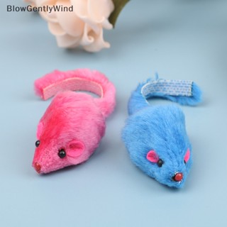 Blowgentlywind หนูปลอม ของเล่นสําหรับสัตว์เลี้ยง แมว